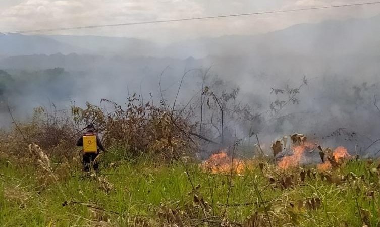 En el departamento del Huila, se han afectado mas de 2.500 hectáreas en los parques Yaguará y Palermo