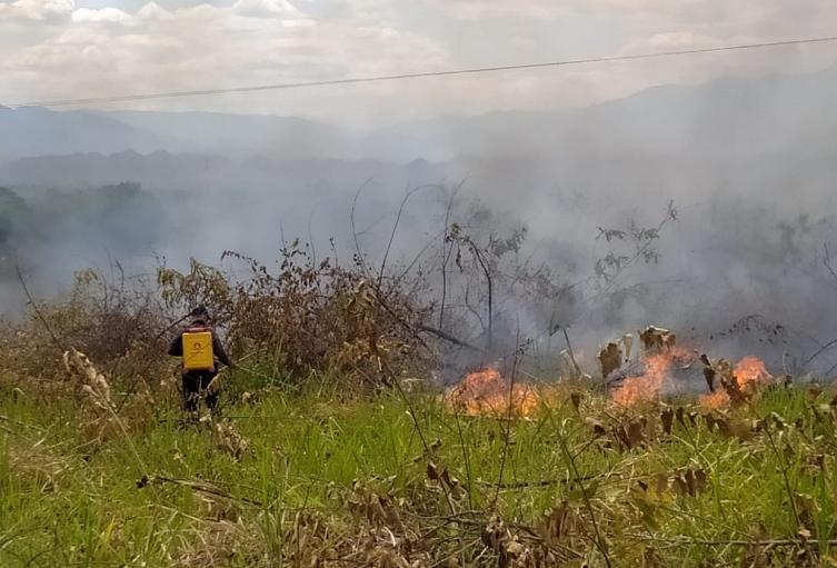 En el departamento del Huila, se han afectado mas de 2.500 hectáreas en los parques Yaguará y Palermo