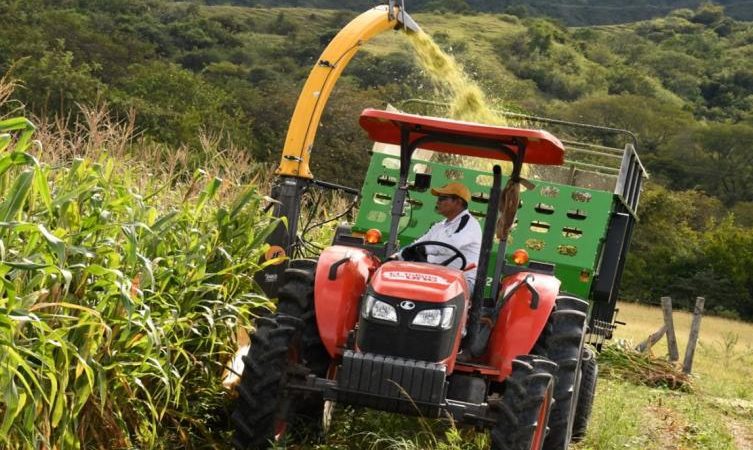 Siembras en Valle de San Juan, se están viendo afectadas, por la fuerte ola de calor