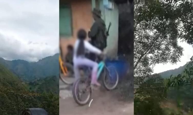 Fuertes combates al sur del Tolima entre las Farc y el Ejército Nacional COZEUS