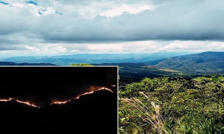 En el municipio de Dolores, se presentó un voraz incendio el cual se extendió varios kilómetros, afectando veredas