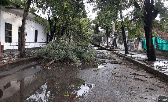 Vendaval en Purificación, dejó 17 viviendas terriblemente afectadas