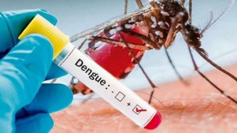 Protege a los niños del dengue en receso escolar