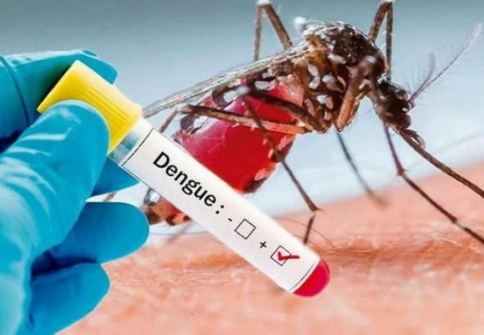 Protege a los niños del dengue en receso escolar