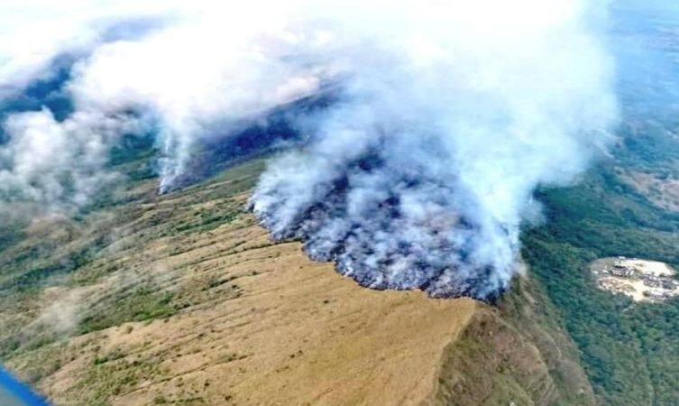 Más de 600 hectáreas fueron consumidas por un incendio forestal en Purificación