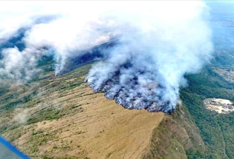 Más de 600 hectáreas fueron consumidas por un incendio forestal en Purificación