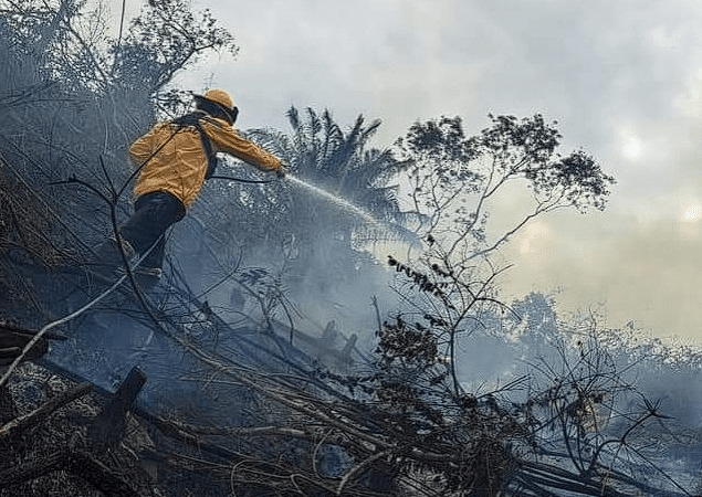 Grave incendio en el Carmen de Apicalá, a consumido al menos 30 hectáreas de vegetación