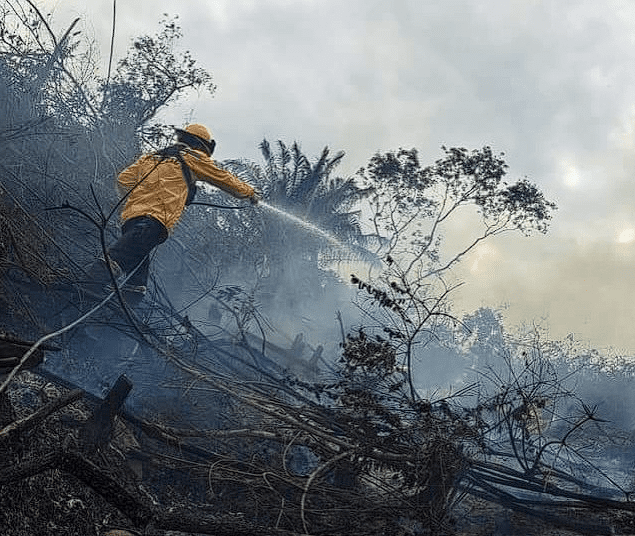Grave incendio en el Carmen de Apicalá, a consumido al menos 30 hectáreas de vegetación