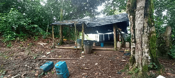 El Ejército Nacional, desmanteló 3 laboratorios de coca en Antioquia