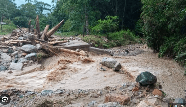 En el departamento del Tolima, se han presentado emergencias por las fuertes lluvias