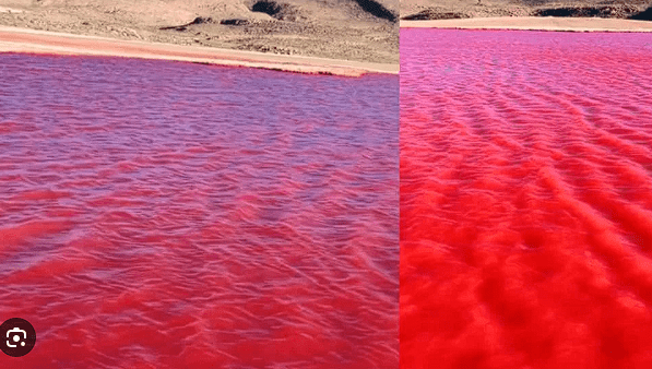 El Rio Nilo, se tiñó de rojo, generando diferentes puntos de vistas, hasta bíblicos