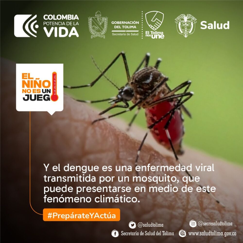 Los hábitos preventivos son la clave en la temporada de lluvias para combatir el dengue