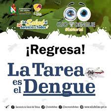 La Secretaría de Salud del Tolima refuerza medidas preventivas en época de lluvias para combatir el dengue