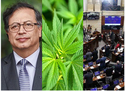 Petro criticó a los congresistas que tumbaron el decreto de legalización del cannabis y los acusó de impulsar las ganancias del narcotráfico