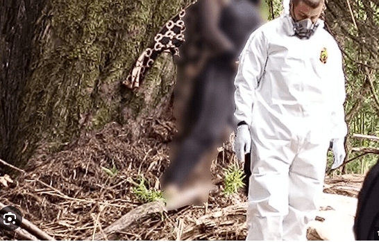 El cuerpo sin vida de una mujer fue hallado amarrado a un árbol en zona boscosa en la localidad de Santa Fe
