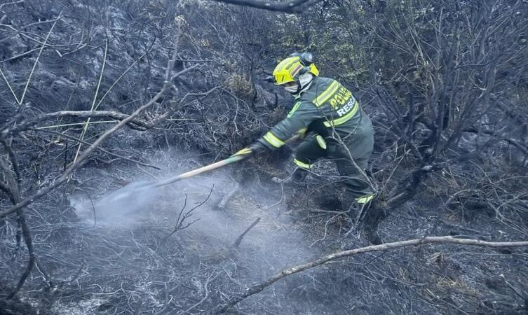 200 hectáreas de bosque fueron consumidas por un incendio en el Parque de los Nevados