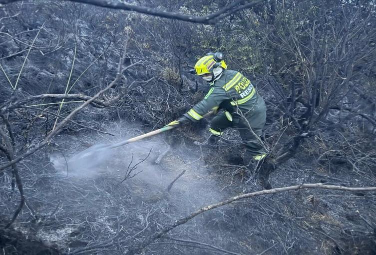 200 hectáreas de bosque fueron consumidas por un incendio en el Parque de los Nevados