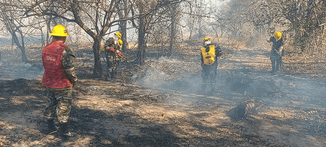 Avanza la contención de incendios forestales en Colombia, UNGRD informa que solo hay 10 activos en todo el país