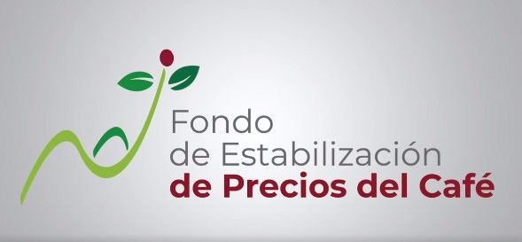 FNC anuncia activación del Fondo de Estabilización de Precios del Café como respaldo a productores cafeteros