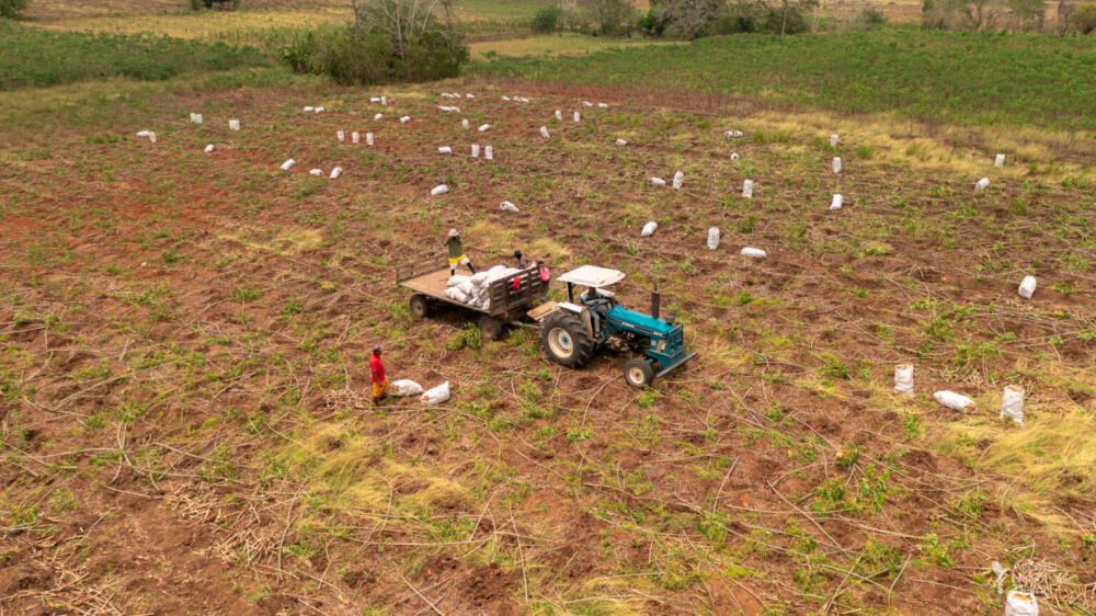 En tierra de masacres se cosechará la esperanza: ANT y SAE entregan 1.384 ha para la Reforma Agraria en Sucre