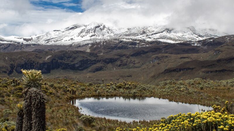 Compromiso Ambiental: Plan Conjunto para la Protección del Parque Nacional de los Nevados