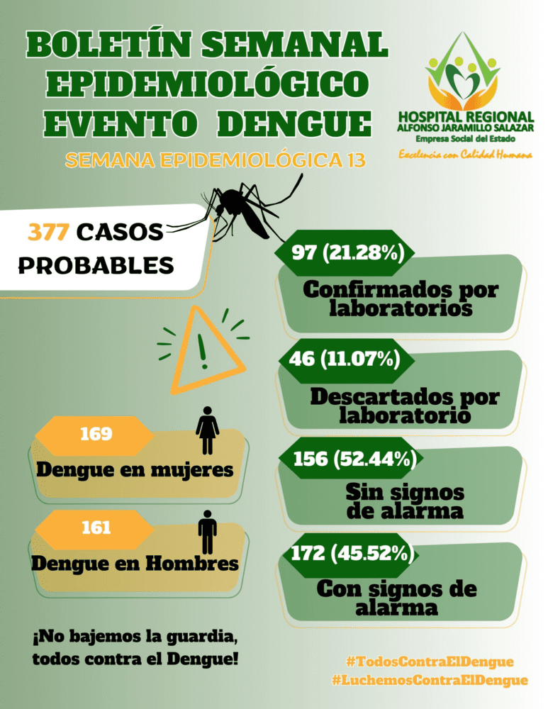 Estos son los casos de Dengue en el Líbano