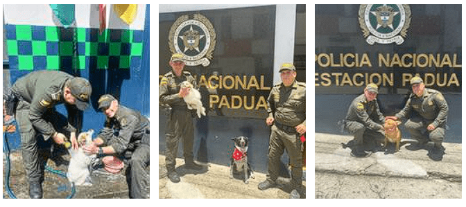 Policías adoparon tres cachorritos en Padua