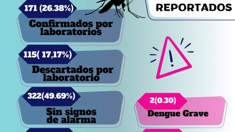 Boletín informativo epidemiológico evento dengue
