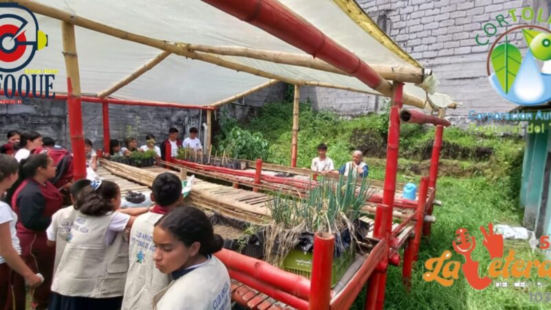 Al menos 144 niños, niñas y jóvenes aprenderán sobre el cuidado y respeto del medio ambiente a través del cultivo de plantas.