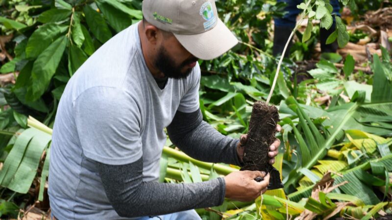 Cortolima restaura predios de Alpujarra con siembra de especies nativas