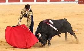 No más corridas de toros en Colombia, proyecto de ley fue aprobado en el congreso