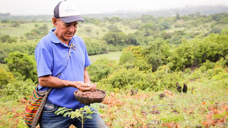 Cortolima restaura predios de cinco resguardos indígenas