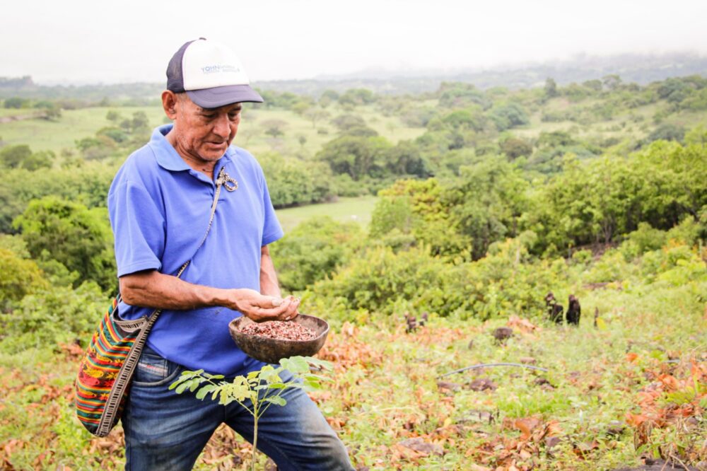 Cortolima restaura predios de cinco resguardos indígenas