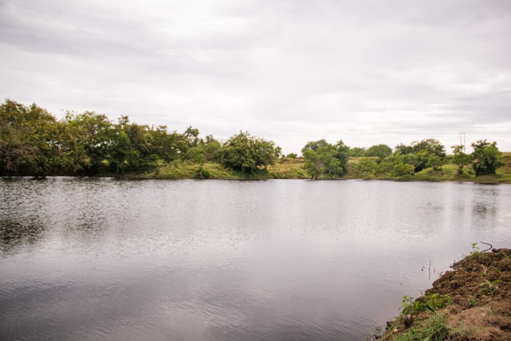 Cortolima entregó reservorio de aguas lluvias a resguardo indígena Palermo de Ortega