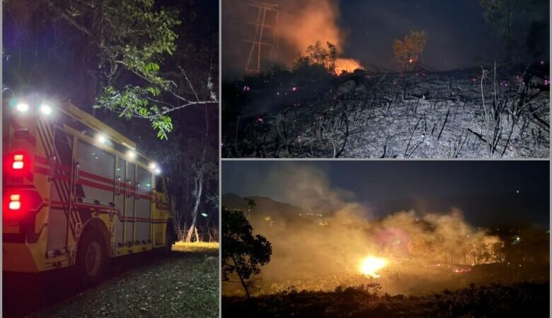 Fue controlado incendio forestal que fue provocado en El Totumo en Ibagué