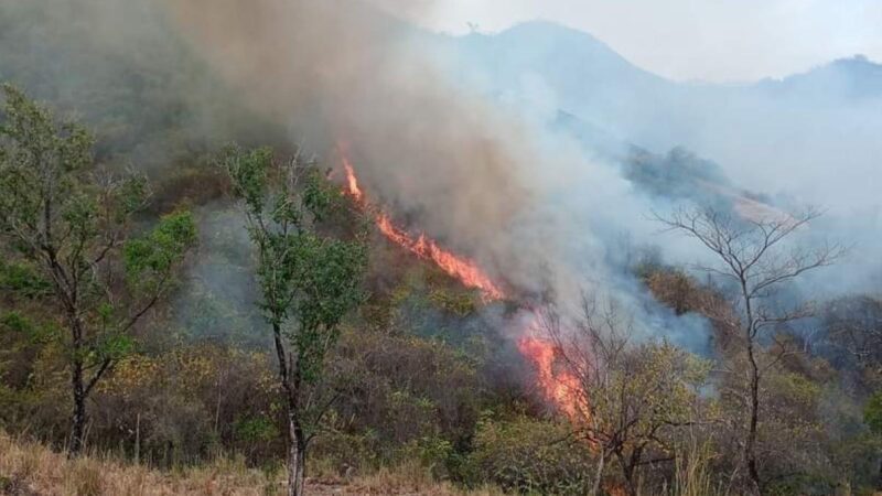 Desesperación en Natagaima: incendio forestal fuera de control mientras habitantes luchan por salvar sus hogares