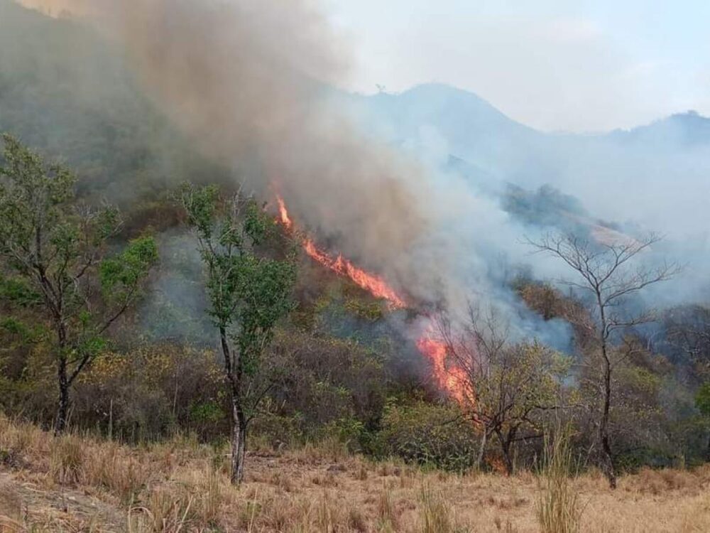 Desesperación en Natagaima: incendio forestal fuera de control mientras habitantes luchan por salvar sus hogares