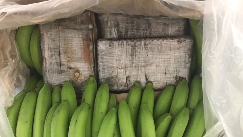 ¡La cocaína estaba escondida entre bananos! Policía Nacional confiscó un cargamento de cocaína en el puerto de Santa Martha