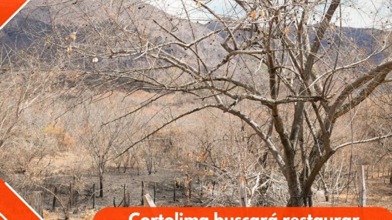 Cortolima buscará restaurar zonas afectadas por incendios en Natagaima