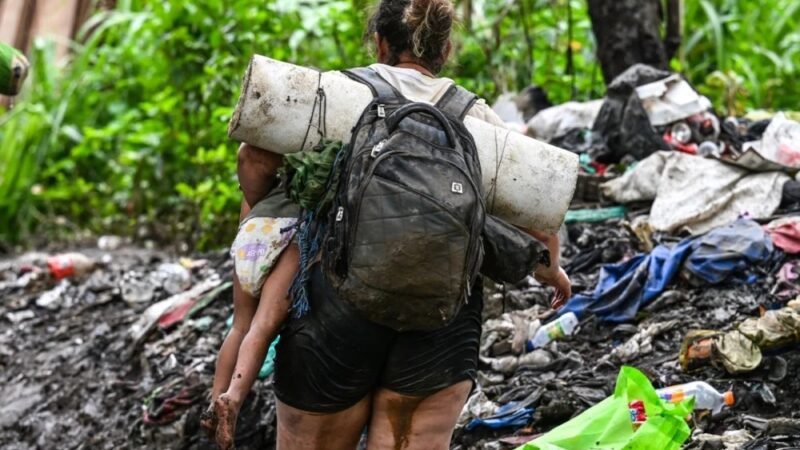 Descubren Campamento Clandestino de Migrantes Irregulares en la Selva del Darién