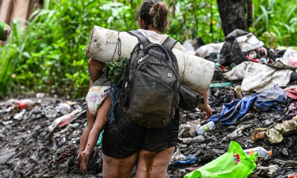 Descubren Campamento Clandestino de Migrantes Irregulares en la Selva del Darién