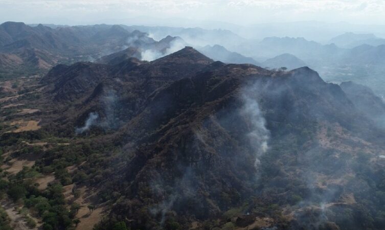 Altas Temperaturas y Fuertes Vientos Desatan Varios Incendios en el Tolima