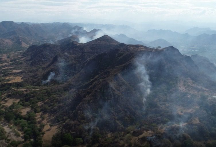 Altas Temperaturas y Fuertes Vientos Desatan Varios Incendios en el Tolima