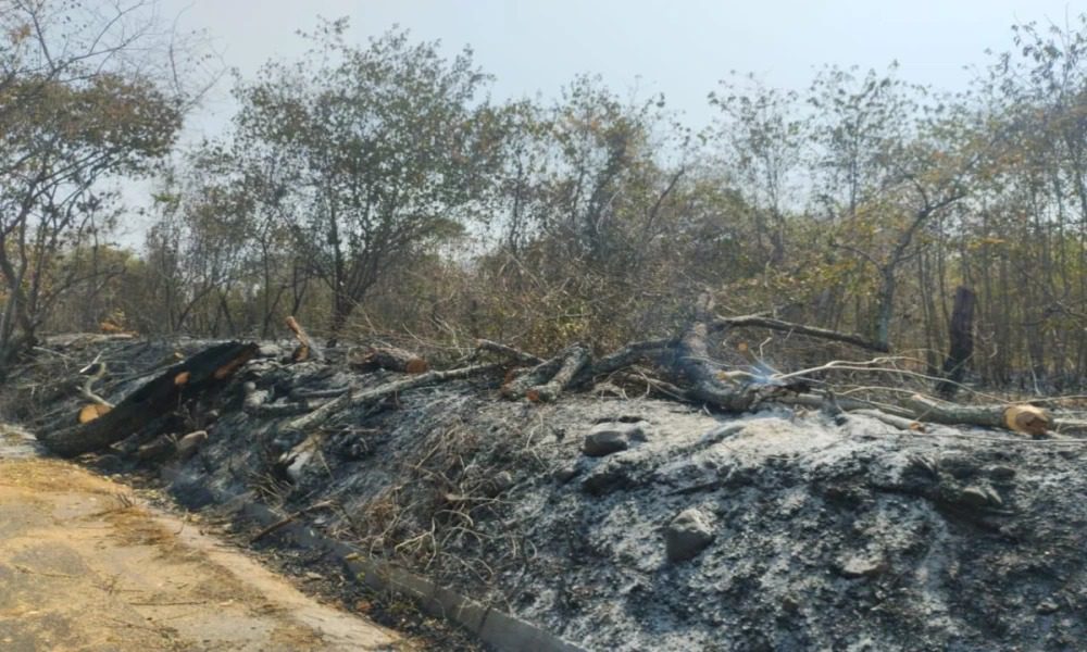 Incendios forestales en Huila han consumido más de 3.200 hectáreas de vegetación