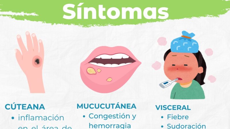 Conoce los síntomas de la Leishmaniasis: Hospital Regional Alfonso Jaramillo Salazar