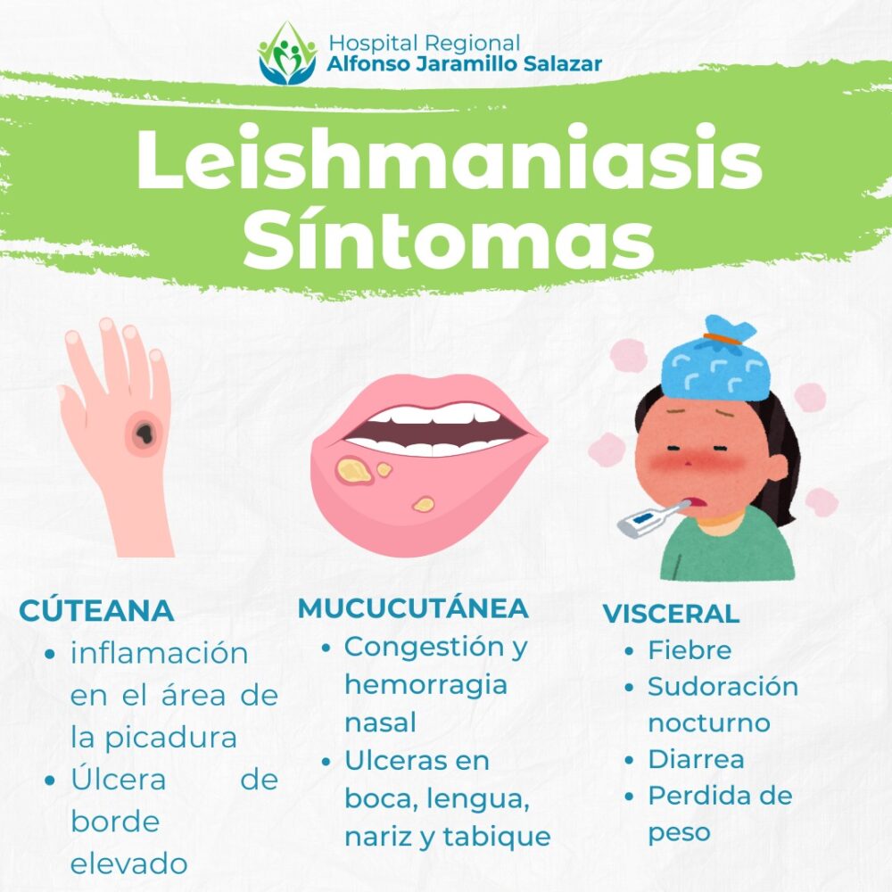 Conoce los síntomas de la Leishmaniasis: Hospital Regional Alfonso Jaramillo Salazar