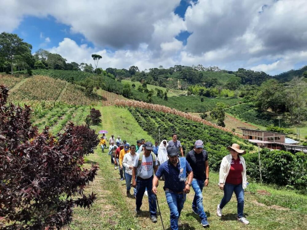 La Federación de Cafeteros y el Servicio de Extensión Rural del Comité Departamental de Cafeteros capacitaron caficultores en El Líbano