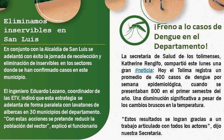 Boletín Informativo Dengue: Hospital San Rafael de El Espinal