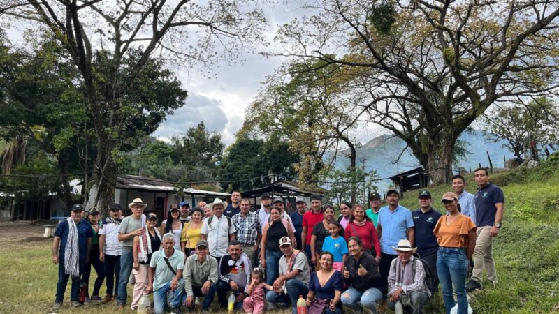 Con éxito culminó el programa de Pagos por Servicios Ambientales en su primera etapa en el Tolima: Cortolima