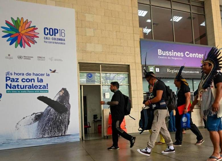 Líderes indígenas amazónicos exigen financiación directa para proteger sus territorios en la COP16